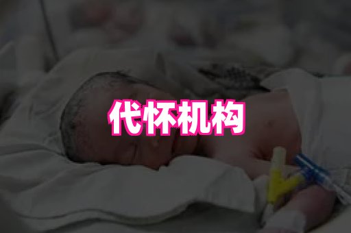 gfg孕网 1