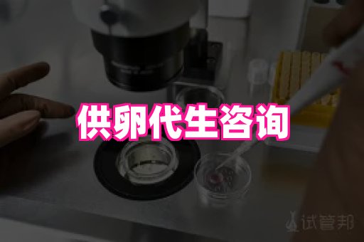 gfg孕网 4
